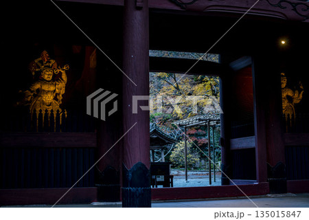 鎌倉251223　妙本寺2　紅葉 135015847