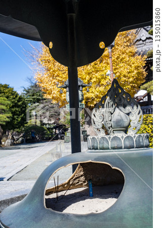 鎌倉251217 本覚寺5 黄葉 鎌倉251217 本覚寺5 黄葉 135015860