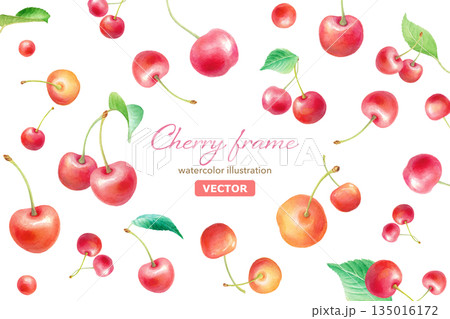 ル 水彩のさくらんぼ フレームイラスト　中央空白の装飾素材 ベクター 135016172