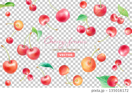ル 水彩のさくらんぼ フレームイラスト　中央空白の装飾素材 ベクター 135016172