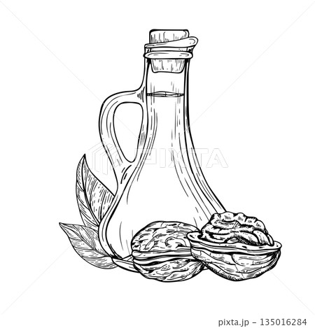 Monochrome natural walnut oil in glass bottle line art black ink sketch. Hand drawn whole peeled walnut kernel, leaves isolated illustration. Glassware with decorative cork and nuts for culinary 135016284