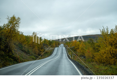 Empty autumn road through colorful forest in Finnish Lapland Empty autumn road through colorful forest in Finnish Lapland 135016337