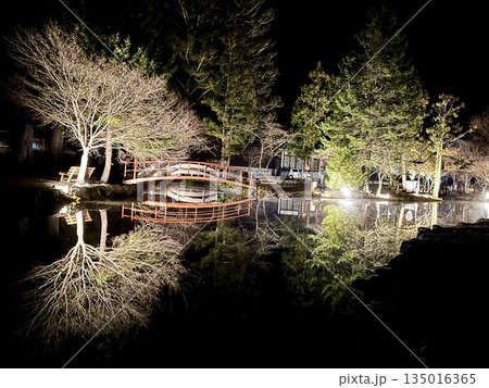 龍泉寺　池ライトアップ 135016365