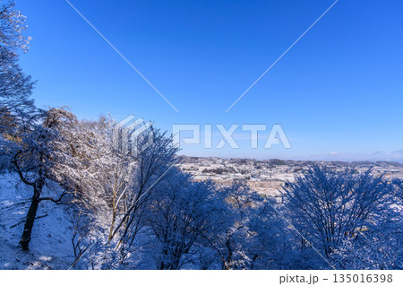 雪の平泉を歩く 135016398
