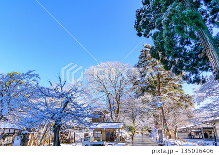 雪の平泉を歩く 135016406