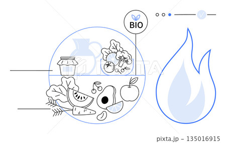 Sustainability, organic living, healthy eating, eco-friendly energy, bio products, environmental care. Minimalist line art of fruits, vegetables and a flame. Organic living and sustainability Sustainability, organic living, healthy eating, eco-friendly energy, bio products, environmental care. Minimalist line art of fruits, vegetables and a flame. Organic living and sustainability 135016915