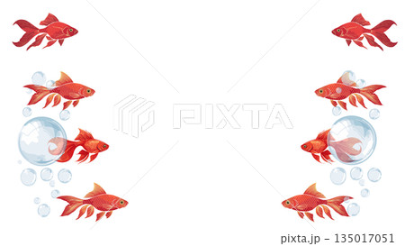 金魚が泳いでいる夏イメージのイラスト 金魚が泳いでいる夏イメージのイラスト 135017051