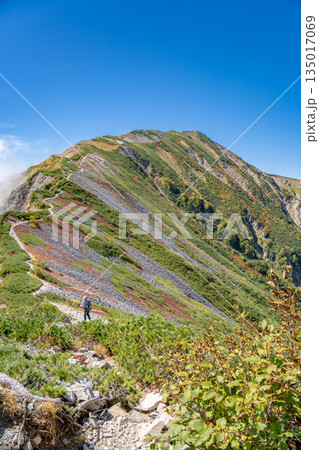 小蓮華山と紅葉　白馬大池～北アルプス白馬岳縦走登山 135017069