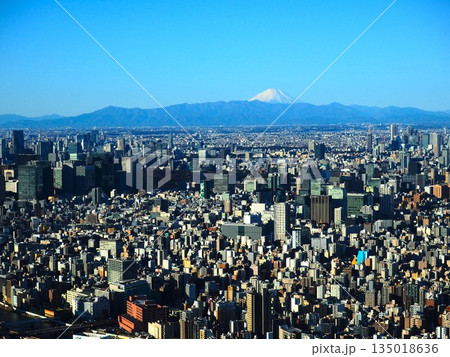 東京スカイツリーから見た東京の街と富士山 135018636