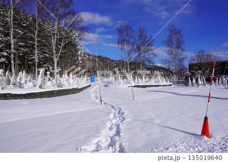 雪が積もる冬のいわみざわ公園 雪が積もる冬のいわみざわ公園 135019640