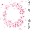 春の花:桜の水彩イラストで構成した縦楕円形装飾フレーム。花びらの背景。(ベクター) 春の花:桜の水彩イラストで構成した縦楕円形装飾フレーム。花びらの背景。(ベクター) 135019947