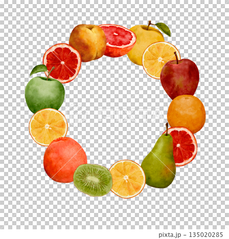 Artistic Botanical Illustration Featuring Diverse Fruits In Circular Layout For Creative Use 135020285