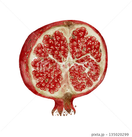 Watercolor Depiction Of Seeds And Arils, Detailed Painting Of Pomegranate Interior For Culinary Use 135020299