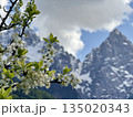 beautiful alps mountains landscape with snow 135020343