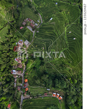 Quiet Village Surrounded By Meandering Roads And Sparkling Waterways In Nature Quiet Village Surrounded By Meandering Roads And Sparkling Waterways In Nature 135020487