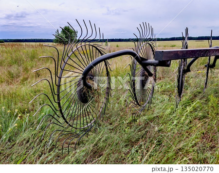 Hay Rake Wheel in Rural Meadow Field Agriculture Equipment. Close-up of a black rotary hay rake or tedder with curved tines collecting dry grass in a vast green rural meadow under cloudy sky, represen Hay Rake Wheel in Rural Meadow Field Agriculture Equipment. Close-up of a black rotary hay rake or tedder with curved tines collecting dry grass in a vast green rural meadow under cloudy sky, represen 135020770