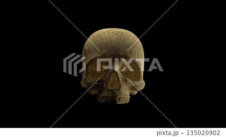 Eerie and opulent skull featuring granular texture and dramatic contrast effects Eerie and opulent skull featuring granular texture and dramatic contrast effects 135020902