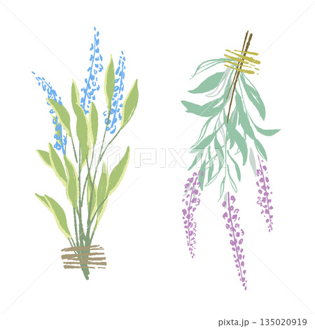 17_セージ_02 135020919