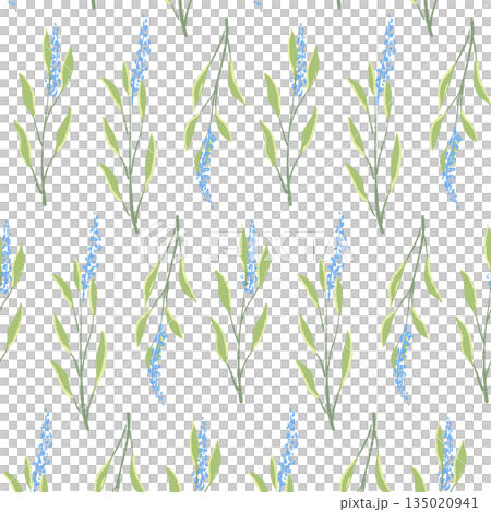 17_セージ_sLs_04 135020941