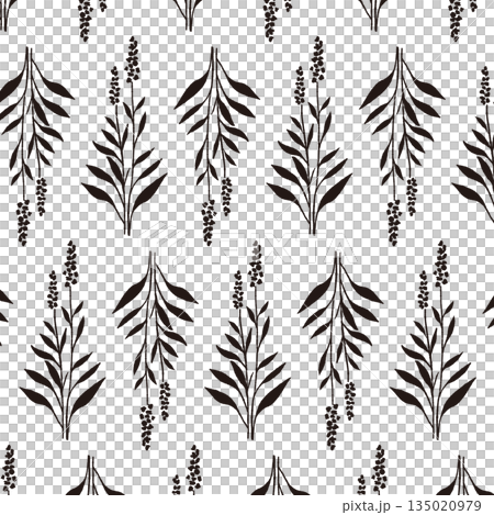 手繪單色插圖，描繪的是鼠尾草 135020979