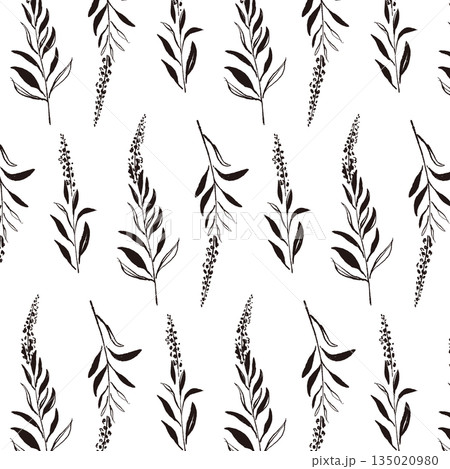 セージの手書きモノクロイラスト素材 135020980