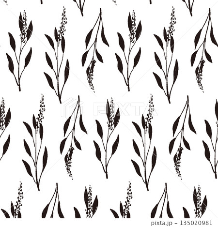 セージの手書きモノクロイラスト素材 135020981