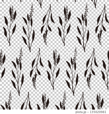 セージの手書きモノクロイラスト素材 135020981