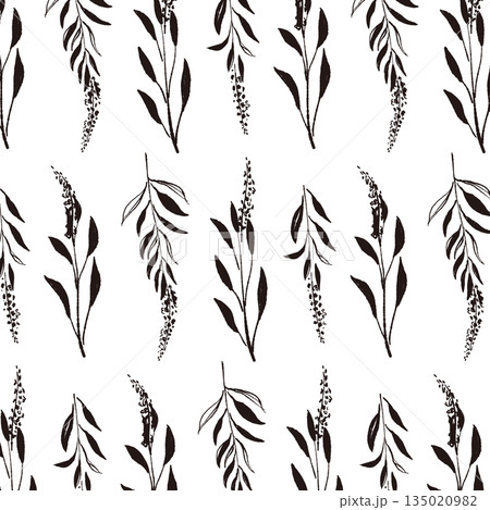 セージの手書きモノクロイラスト素材 135020982