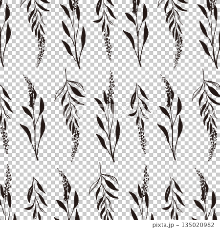 セージの手書きモノクロイラスト素材 135020982