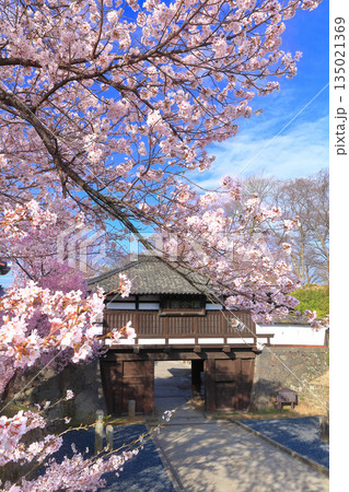 【長野県】晴天の小諸城址の三之門と満開の桜 【長野県】晴天の小諸城址の三之門と満開の桜 135021369