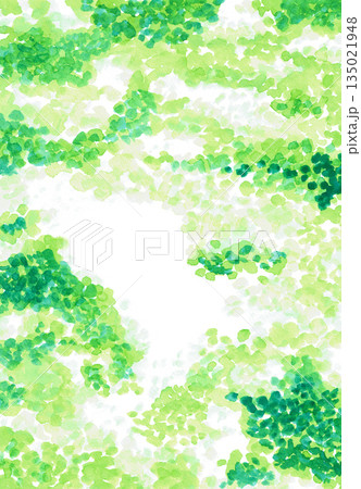 手描きの水彩イラスト　木漏れ日　背景 135021948