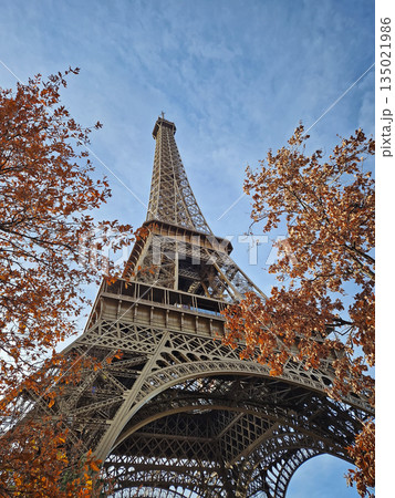 Eiffel Tower view from behind autumn trees against a crisp blue sky. The iconic iron structure emphasizing its massive scale and intricate lattice design 135021986