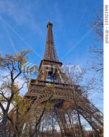 Eiffel Tower view from behind autumn trees against a crisp blue sky. The iconic iron structure emphasizing its massive scale and intricate lattice design 135021996