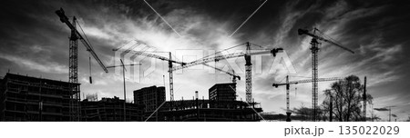Construction Cranes Crafting the Urban Landscape 135022029