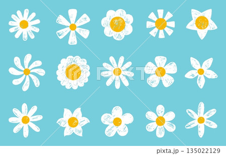 Chalk white daisy. Pencil drawing chamomile, blooming plants white crayon sketch design. Floral spring summer elements, flowers neoteric vector set Chalk white daisy. Pencil drawing chamomile, blooming plants white crayon sketch design. Floral spring summer elements, flowers neoteric vector set 135022129