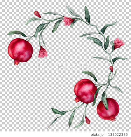 Circle composition with Pomegranate Fruit Branch with flower. Hand drawn watercolor illustration wreath on isolated background. Pink red pomegranate tree with leaves. Sketch of juicy for menu. Circle composition with Pomegranate Fruit Branch with flower. Hand drawn watercolor illustration wreath on isolated background. Pink red pomegranate tree with leaves. Sketch of juicy for menu. 135022386