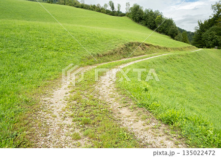 Sunny Mountain Valley Path Surrounded by Green Meadows on a Peaceful Summer Day 135022472