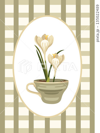 Hand-drawn spring Easter greeting card with teacup planted crocus flowers, frame and decorative checkered background Hand-drawn spring Easter greeting card with teacup planted crocus flowers, frame and decorative checkered background 135022489