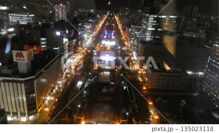 大通公園のライトアップ 135023118