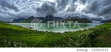 Coastal Landscape With Fjord On Lofoten Islands In Norway Coastal Landscape With Fjord On Lofoten Islands In Norway 135023131