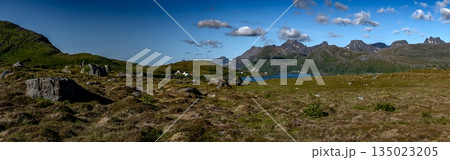 Rural Landscape And Coastal Village Fredvang In Torsfjord On Lofoten Islands In Norway Rural Landscape And Coastal Village Fredvang In Torsfjord On Lofoten Islands In Norway 135023205