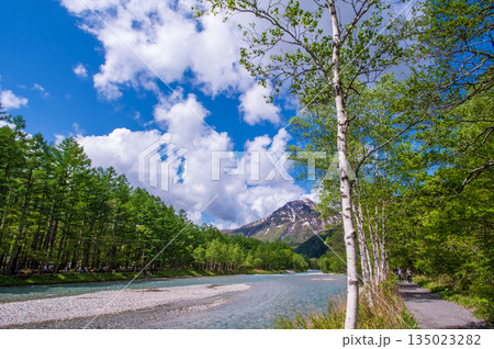 さわやか上高地『焼岳を望む梓川沿いの新緑風景』《長野県 松本市》 135023282