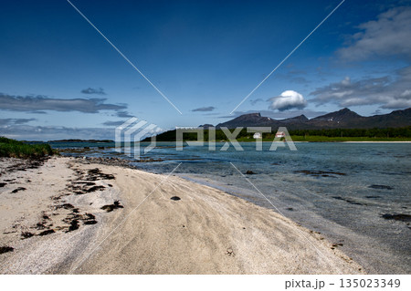 White Sand Beach At Calm Fjord On Senja Island At Vesteralen In Norway White Sand Beach At Calm Fjord On Senja Island At Vesteralen In Norway 135023349