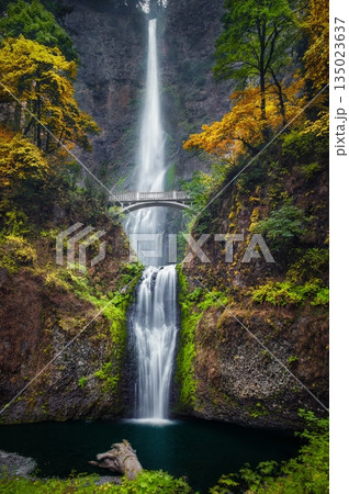 Multnomah Falls and Colors 135023637