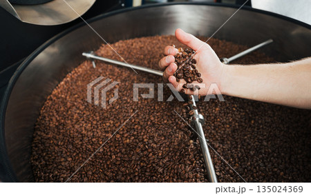 Male hand with fresh coffee beans above an industrial roasting machine drum 135024369