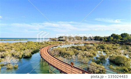 Peaceful Marsh Journey, Calm Trail Over Wetlands Scenery, Tranquil Wooden Pathway Traversing Tidal Marsh Areas, Idyllic Pathway Through Peaceful Marshes Offering Picturesque Views Under Sunny Sky 135024483