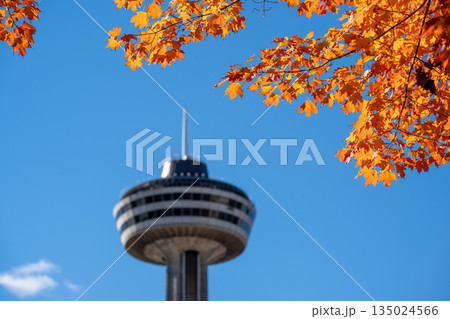 鮮やかな秋の紅葉とスカイロン・タワーの展望台。オンタリオ州、カナダ 135024566