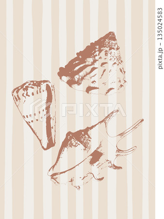 Vector tropical underwater style poster of seashells collection Isolated on beige background. Card for interior design, prints, fabric or background. Vector tropical underwater style poster of seashells collection Isolated on beige background. Card for interior design, prints, fabric or background. 135024583