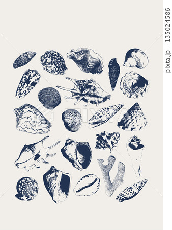 Tropical vector underwater style poster of corals and seashells collection Isolated on white background. Card for interior design, prints, fabric or background. 135024586