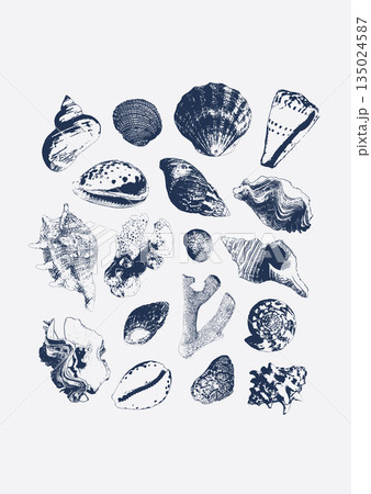 Vector tropical underwater style poster of seashells and corals collection Isolated on white background. Card for interior design, prints, fabric or background. 135024587
